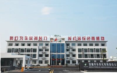 중국 Anhui Fengle Agrochemical Co., Ltd. 공장