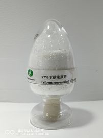 Tribenuron-methyl95%TC의 농업 제초제, 넓은 Leaved 잡초 포스트 출현 통제